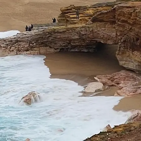 O Paraiso No Terraco