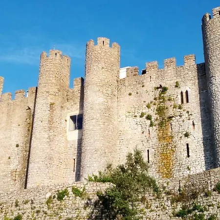 O Paraiso No Terraco