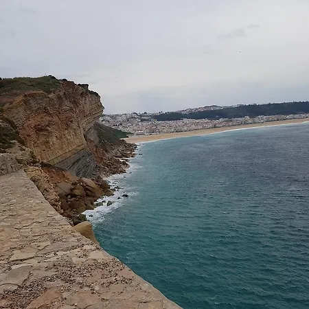 O Paraiso No Terraco *