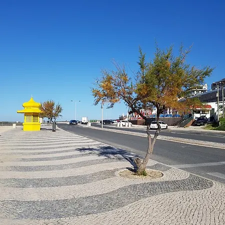 O Paraiso No Terraco Foz do Arelho