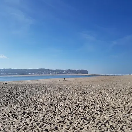 O Paraiso No Terraco Apartment