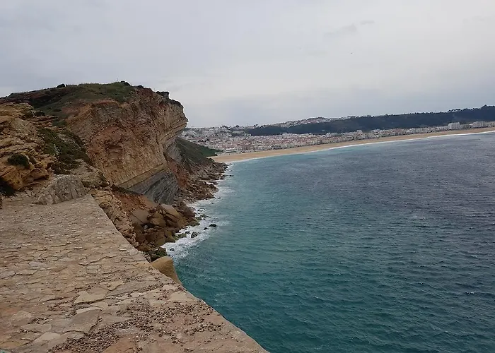 O Paraiso No Terraco *