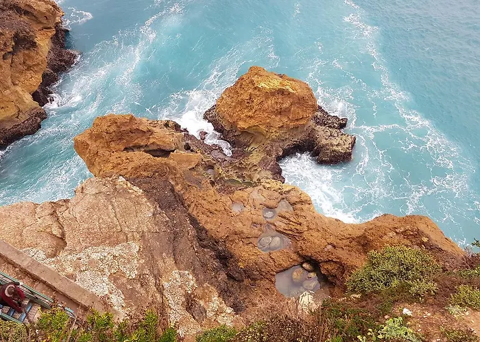 O Paraiso No Terraco